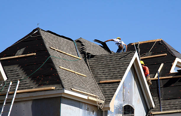 Roof Gutter Cleaning in Arbury Hills, IL