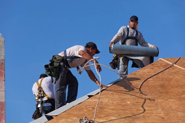 Best Roof Maintenance Services  in Arbury Hls, IL