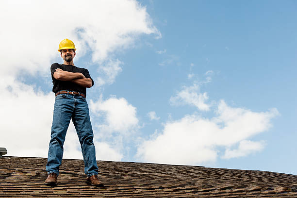 Best Local Roofing Companies  in Arbury Hls, IL