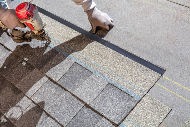 Best Gutter Installation and Roofing  in Arbury Hls, IL